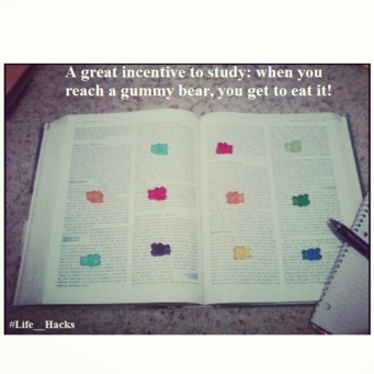 Studying with gummy bears